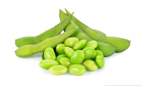 昆布的功效与作用点专区_昆布是什么药材专区_昆布性味归经功效应用网