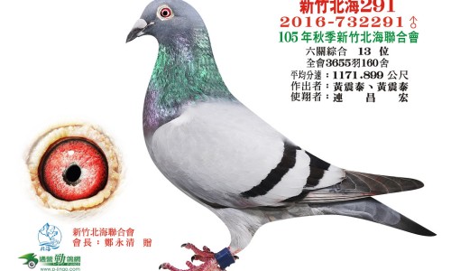 昆布的功效与作用点专区_昆布是什么药材专区_昆布性味归经功效应用网